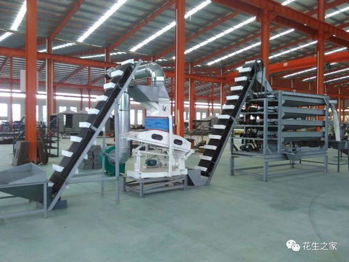 青島楓林花生機械 專業機械設備，驅動產業升級