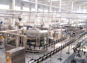 上海玄純機械設備 專業驅動，匠心筑造工業未來